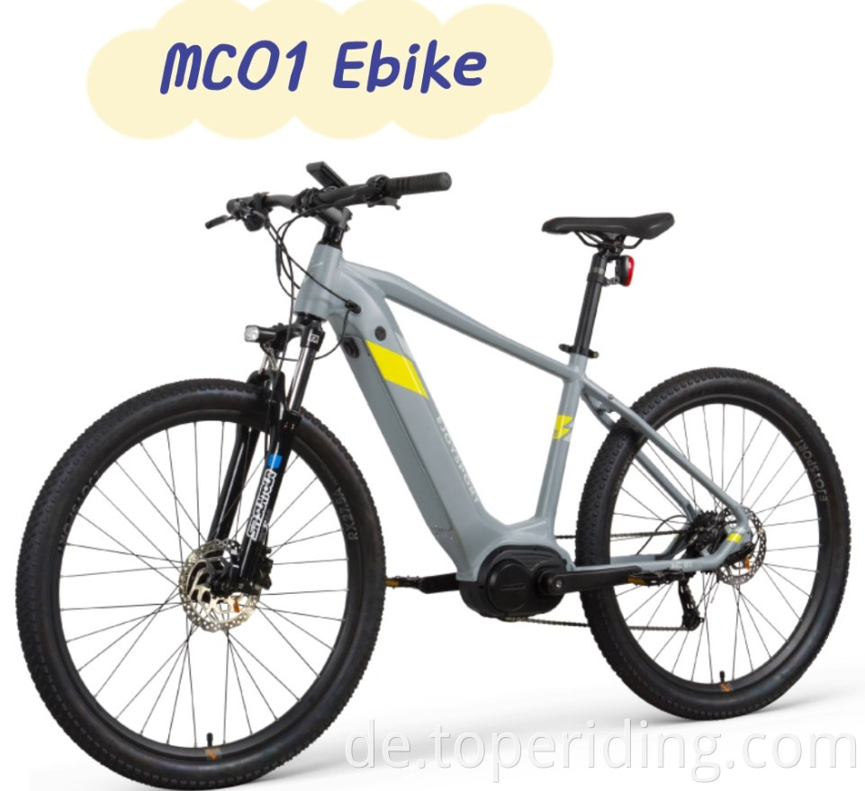 Enduro Ebike